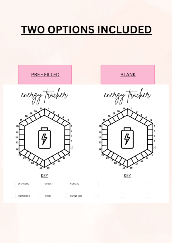 Energy Tracker - Image 4